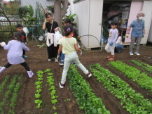 みなみすげ農園